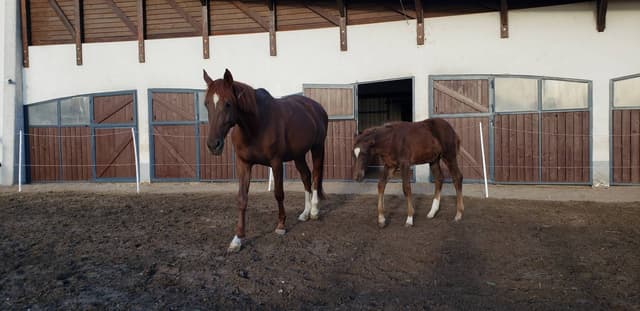 Henkilön Natalia O. kuva 4 (3.11.25)