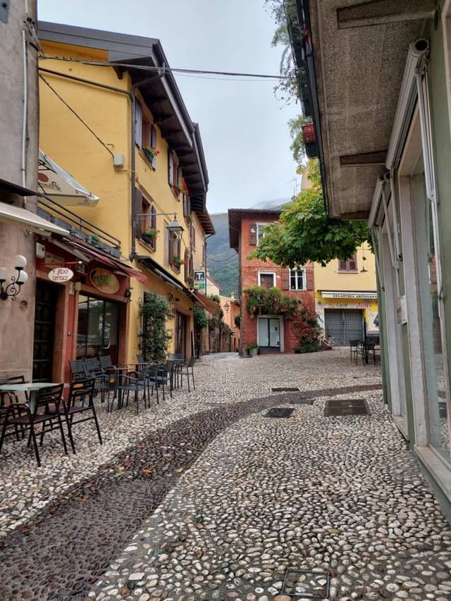 Henkilön Ari A. kuva 3 (5.11.23)