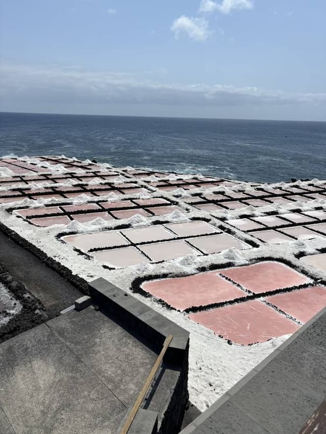 Zdjęcie 9 wykonane przez Robert D. (18.06.25)