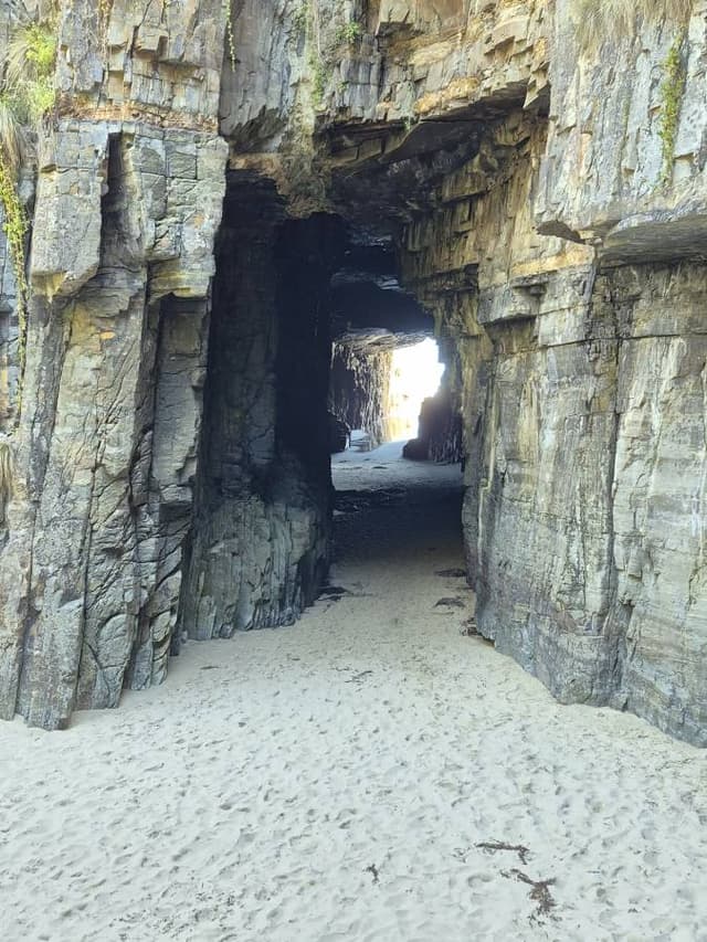 Photo 3 by Chee Kong Y. (1/10/26)