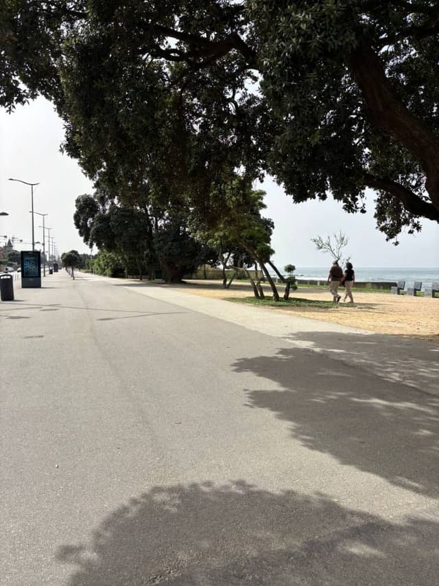 Photo 4 by Rania T. (4/11/26)