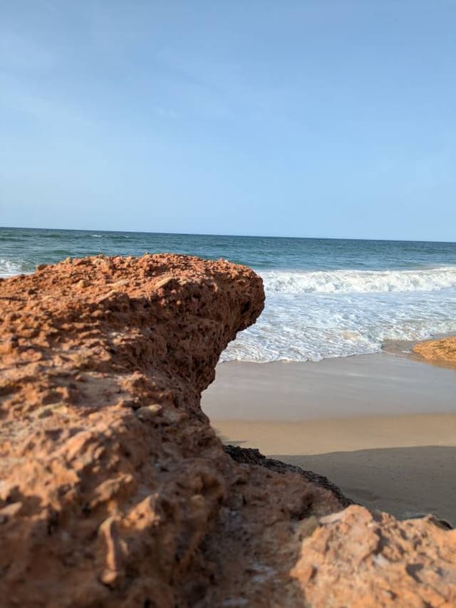 Photo 2 by Christopher L. (5/27/26)