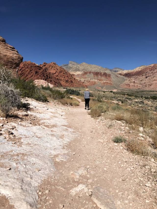 Photo 3 by Terry S. (10/31/23)