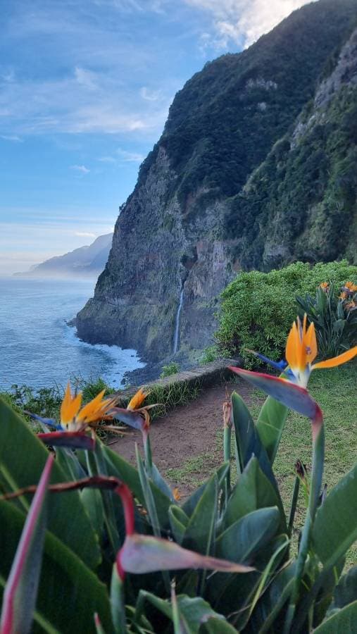 Foto 8 von Jairo A. über die Anmietung eines Fiat Panda auf Madeira (16.11.23)