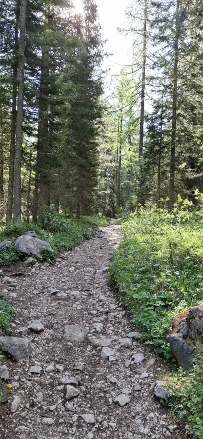 Photo 6 by Brian L. (6/7/26)
