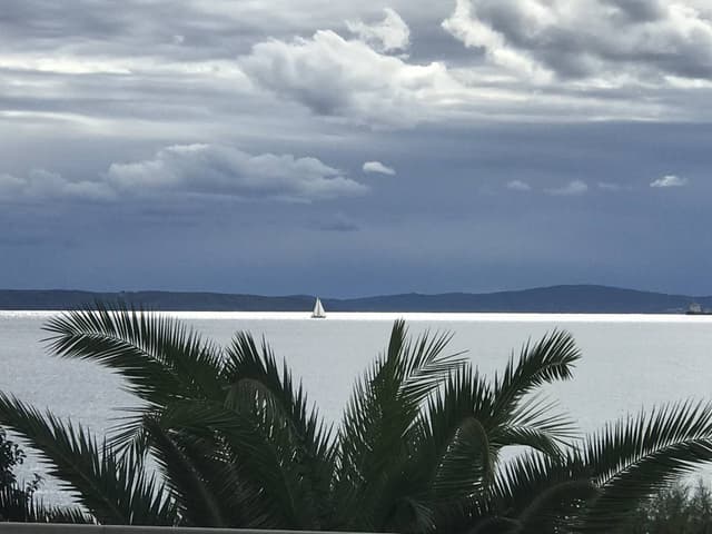 Zdjęcie 8 wykonane przez Andriy Y. (20.09.24)