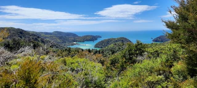 Photo 11 by Michael D. (2/5/26)