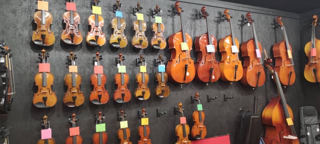 Photo 12 by Semih Y. (2/5/26)