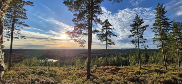 Photo 4 by Vladimir S. about renting a Toyota RAV4 in Oslo (8/19/24)