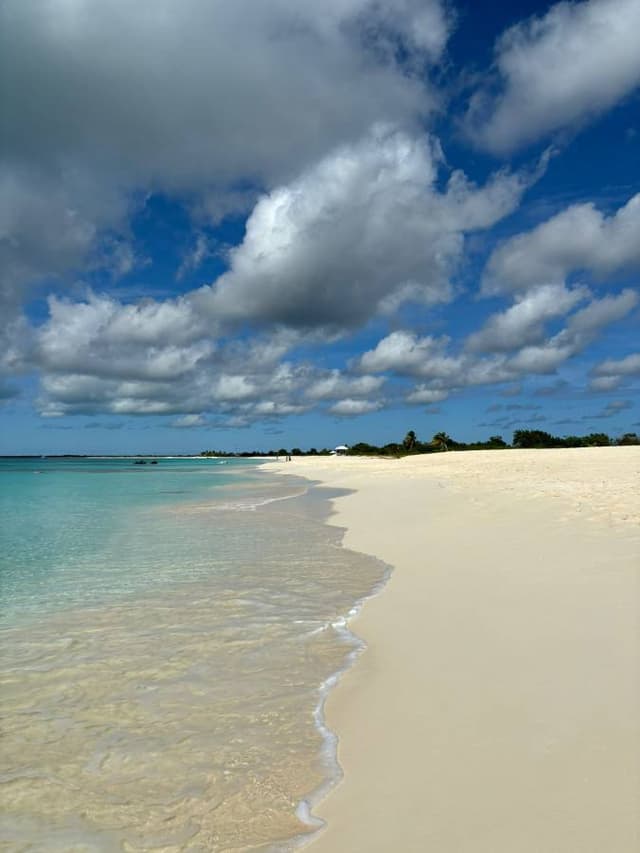 Foto 4 di Antonio D. (17/01/25)