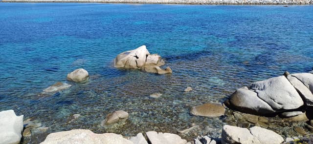 Photo 3 by Sergio B. about renting a Fiat 500 in Cagliari (3/13/25)