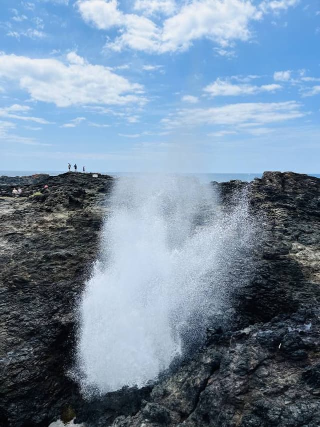 Photo 4 by PAULINE C. (12/31/23)