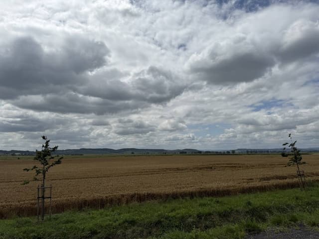 Photo 5 by Kenneth B. about renting a Skoda Kamiq at Krakow Airport (8/2/25)