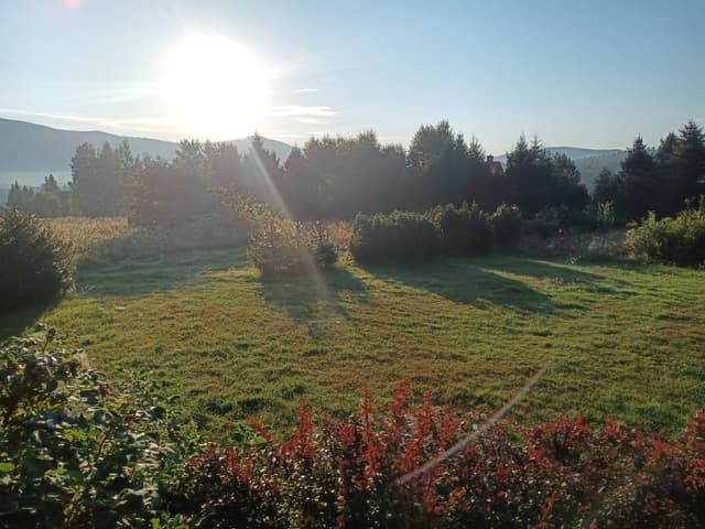 Foto 6 von Horst N. über die Anmietung eines Skoda Kamiq in Krakau (7.9.24)