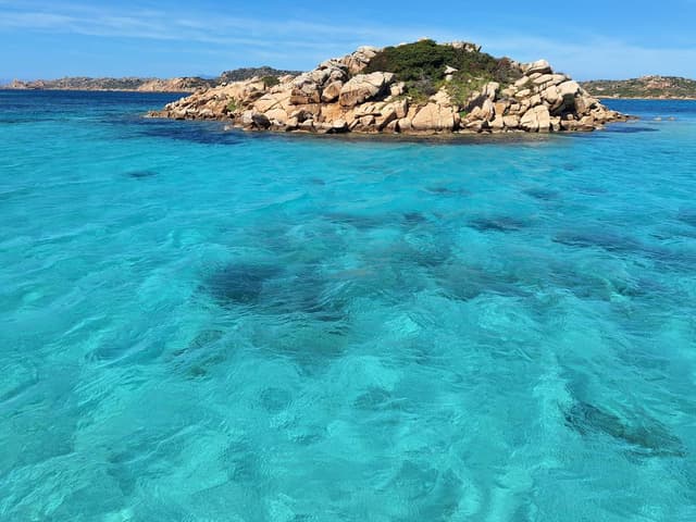 Photo 9 by Edit U. (4/13/26)