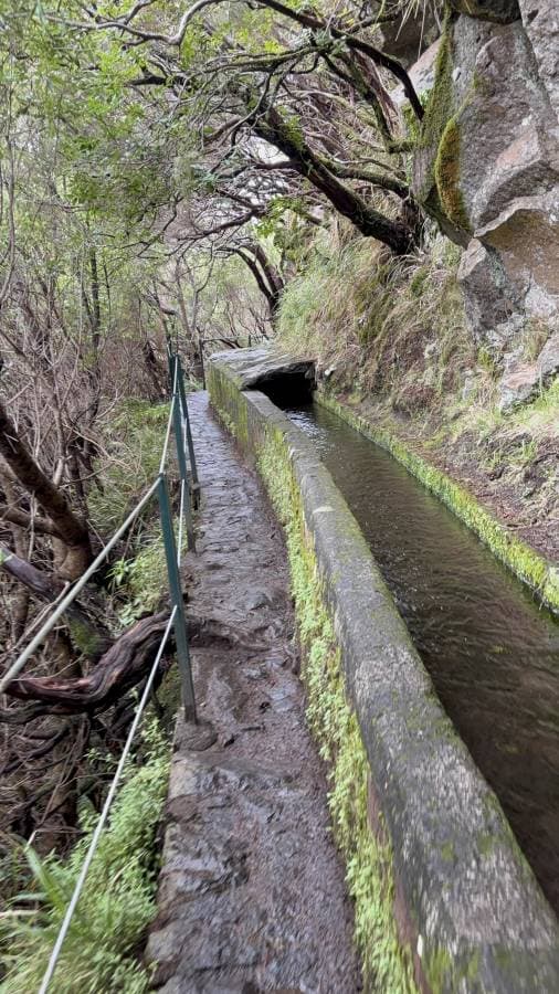 Fotografia 13 realizată de Nicolae D. (19.03.26)