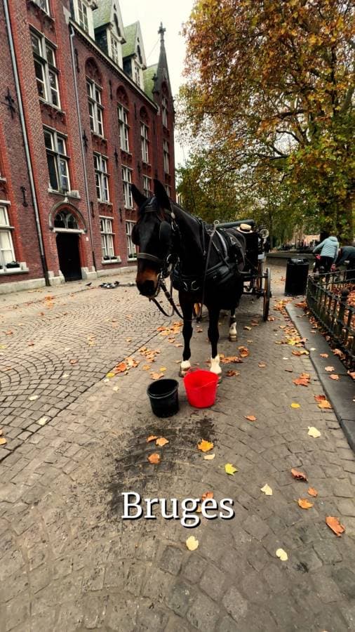 Photo 11 by Mohammad K. (12/1/25)