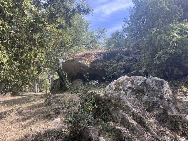 Foto 6 van Sebastiana P. over het huren van een Hyundai Tucson in Olbia (4-6-25)