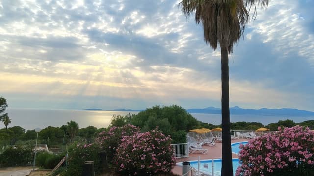 Photo 2 by Stanislaw S. (6/30/26)