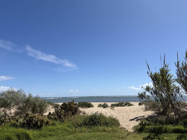 Photo by David M. (4/15/26)