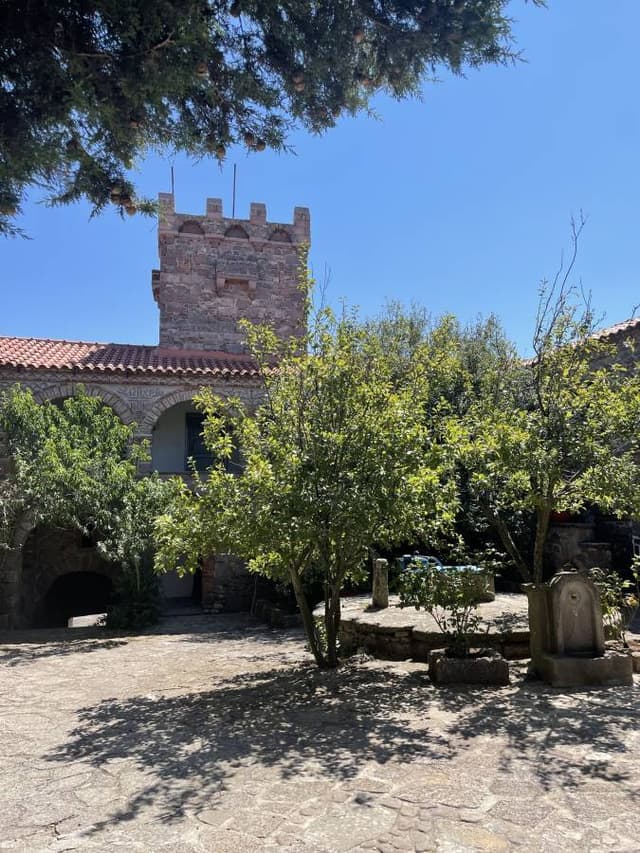 Foto 6 van Marlies V. (13-8-23)