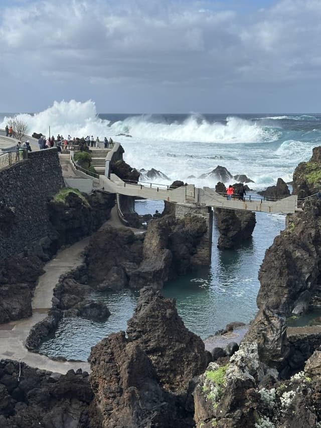 Photo 5 by Sylvie B. (1/28/26)