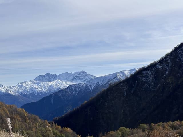 Zdjęcie 3 wykonane przez Andrzej D. (23.10.25)