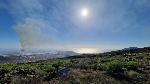 Foto od Monika L. (15. 1. 24)