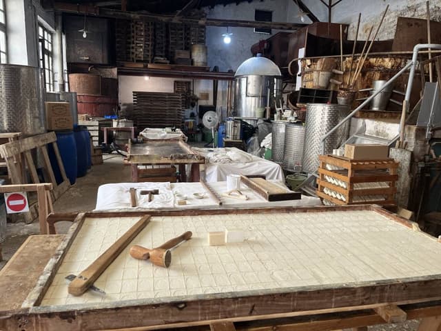 Foto 4 van Theo A. (21-6-25)