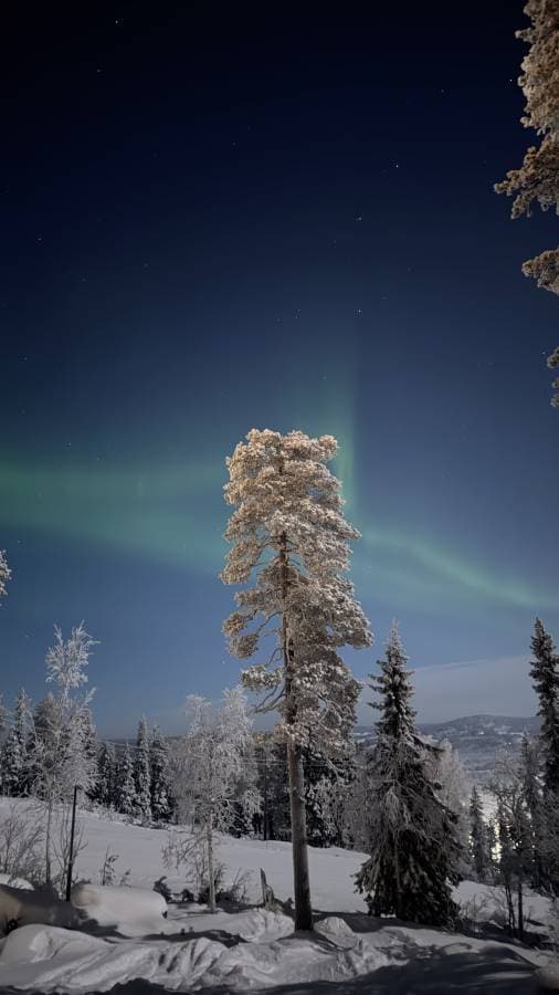 Foto 9 de Vanessa Angelica J. (10/1/26)