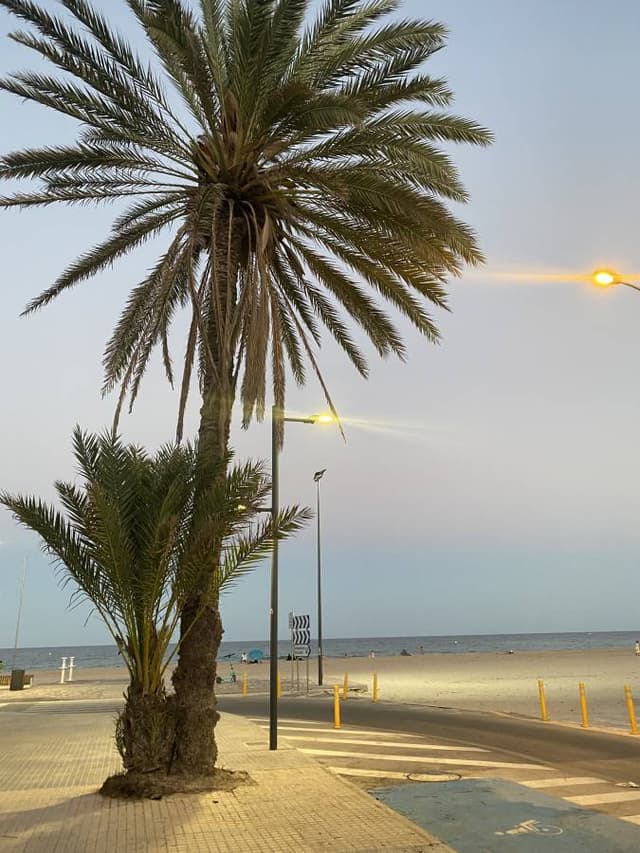 Foto 6 av Katta H. om att hyra en Fiat Panda på Alicante-Elches flygplats (23-08-17)