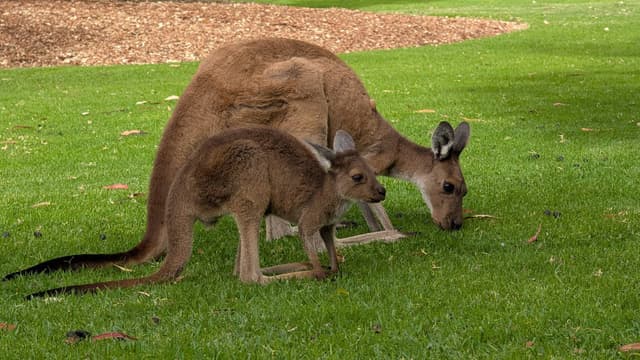 Foto 2 van Sabina V. (30-3-26)