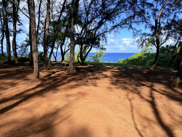 Photo 10 by Ashan J. (4/25/26)
