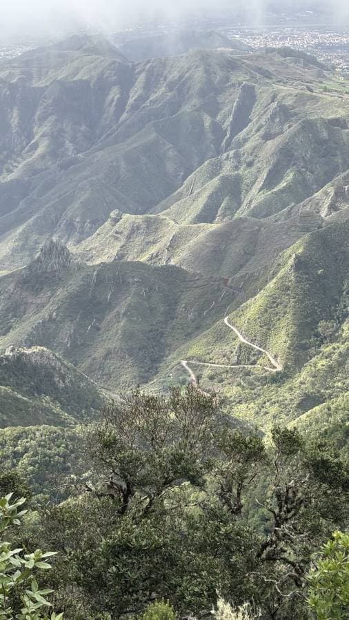 Photo 4 par Michel M. (01/12/25)