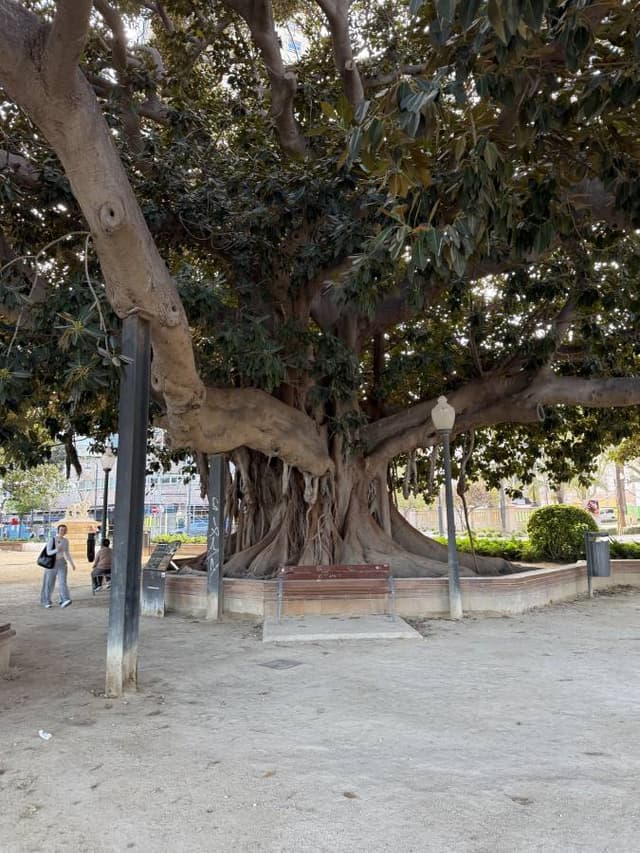 Foto 6 av Anders Niclas G. om att hyra en Seat Arona i Alicante (25-04-07)