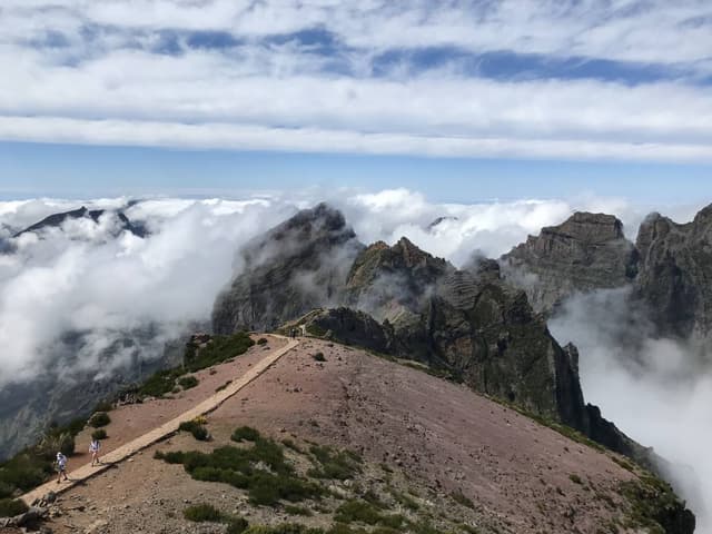 Foto 6 de RICARDO C. sobre o aluguer de um Fiat 500 em Madeira (22/03/24)