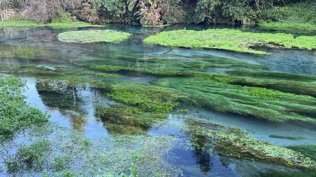 (26/5/29)のレンタルについて、Midori M. による写真 4