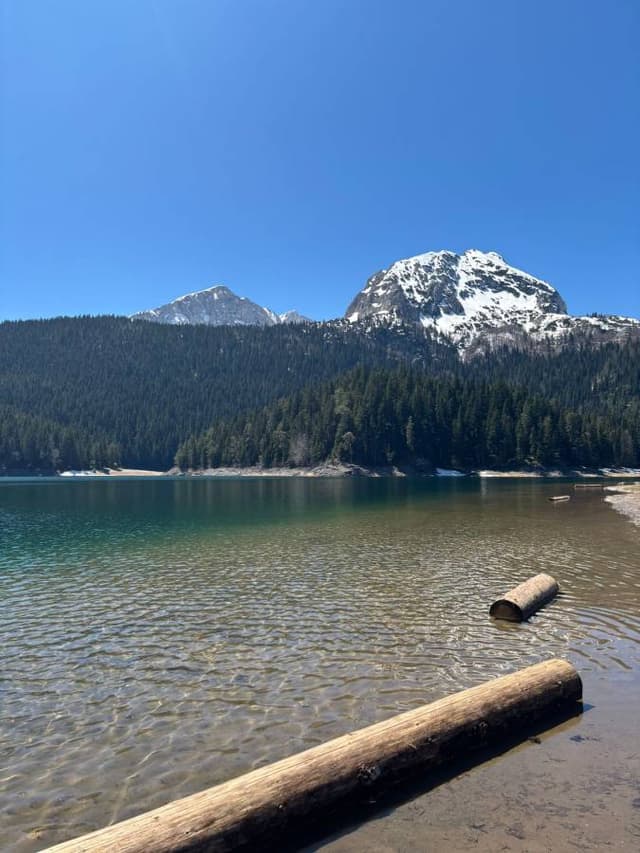 Photo 12 by Liam S. (5/10/26)