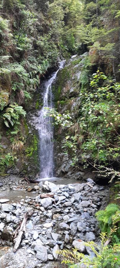 Photo 12 by Michael D. (2/5/26)