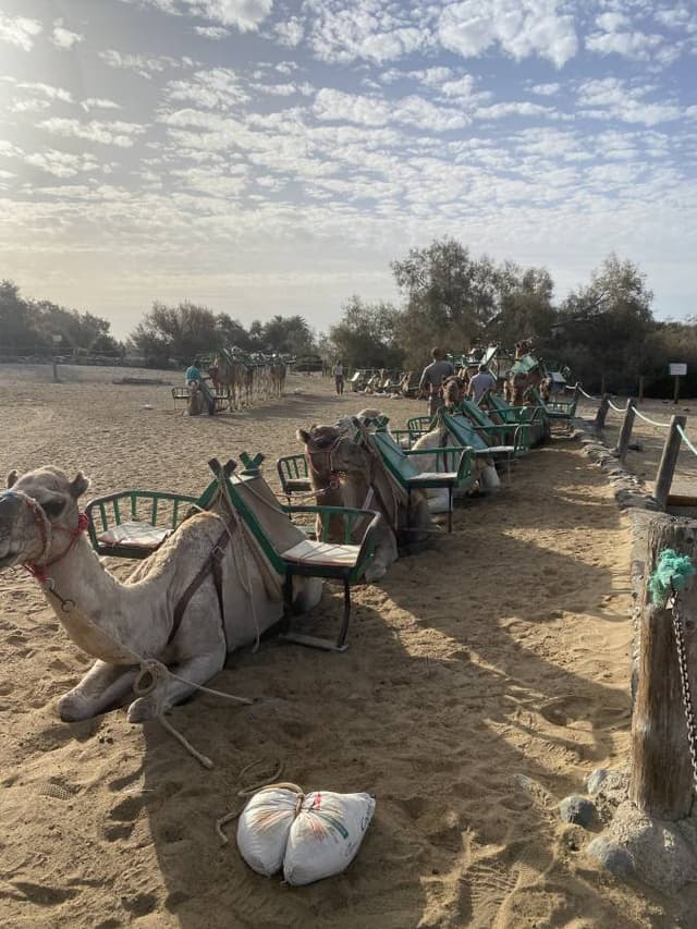 Photo par Sylvain M. (12/11/25)