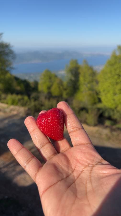 صورة بواسطة Nawaf A. (12/5/25)