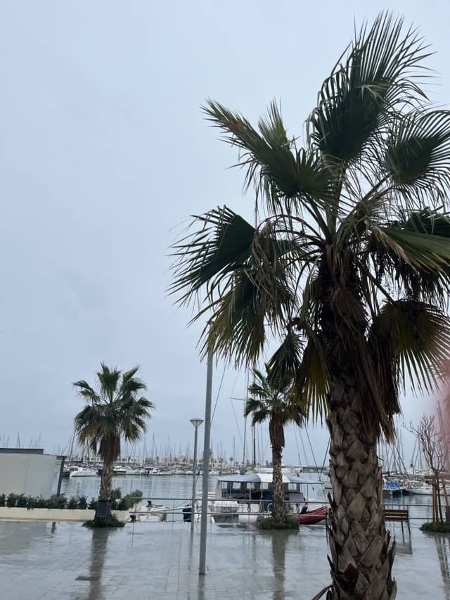 Foto av Roger L. om att hyra en Renault Megane i Alicante (25-03-31)