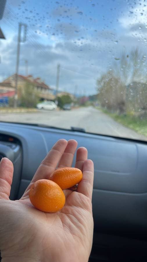 Zdjęcie 5 wykonane przez Anna D. dotyczące wynajmu Peugeot 107 w na Korfu dnia (9.06.25)