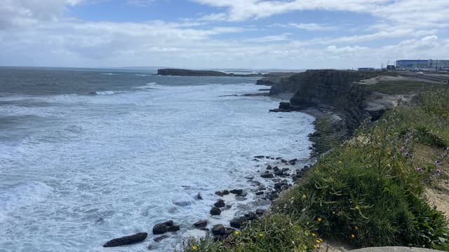 Photo 12 by Jose J. (5/23/26)