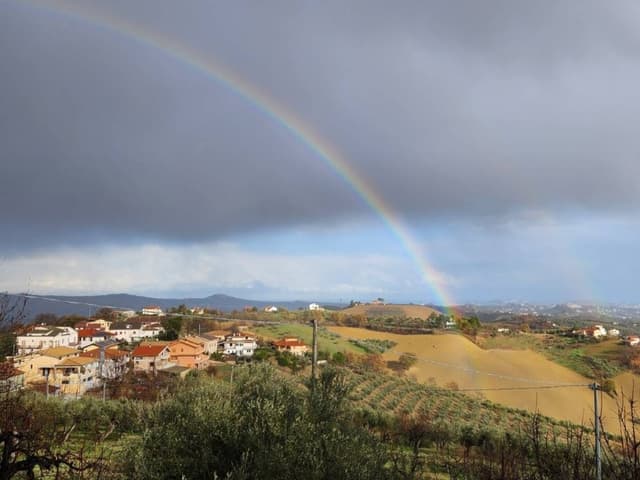 Photo 5 by Dante F. about renting a Fiat Panda at Rome Airport Fiumicino (1/2/25)