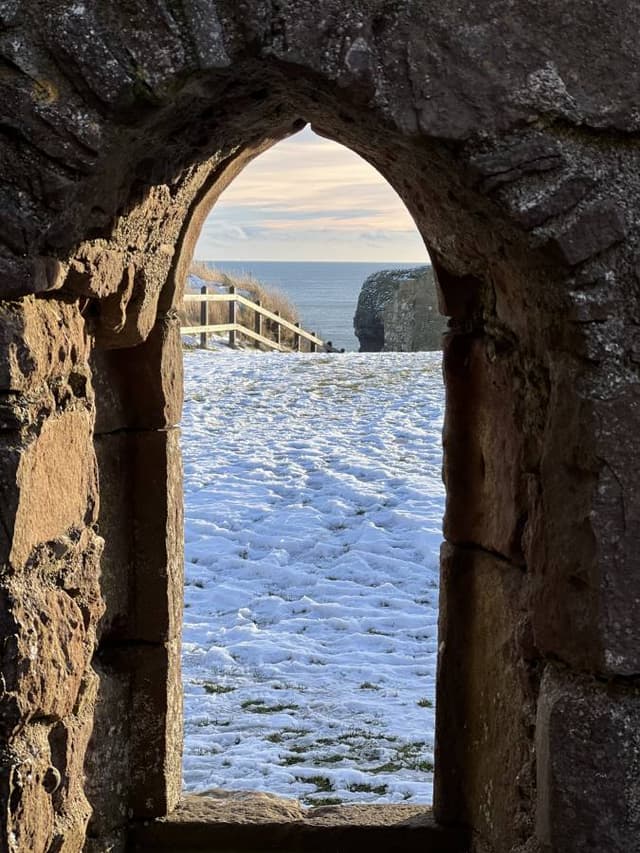 Photo 5 by Roland R. (1/20/24)