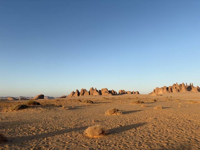 Photo 4 by Aaron D. (11/28/25)