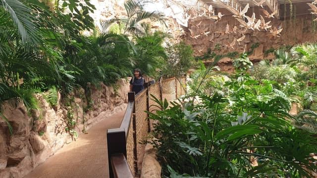 Foto 11 de Domingos S. (23/03/25)