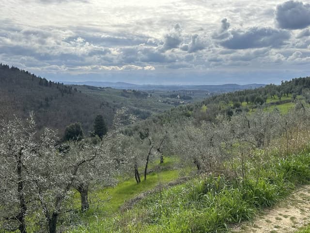Photo 4 by Charlene S. about renting a Volkswagen Polo in Florence (3/16/24)