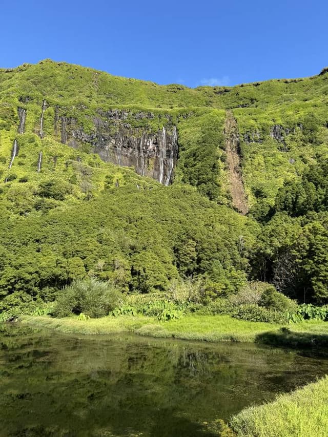 Photo 11 by Harold O. (9/11/24)